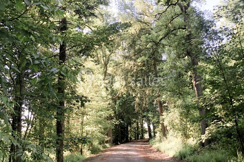 Location salle Entrains-sur-Nohain (Nièvre) - Domaine du Réveillon #8