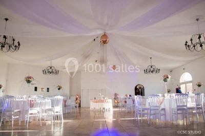 Allée bordée de cyprès et de vignes avec une vue sur une montagne en arrière-plan, sous un ciel clair.