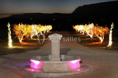 Allée bordée de cyprès et de vignes avec une vue sur une montagne en arrière-plan, sous un ciel clair.