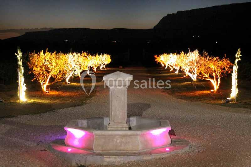 Fontaine en pierre éclairée par des lumières roses, entourée d'allées bordées d'arbres illuminés dans un paysage nocturne.