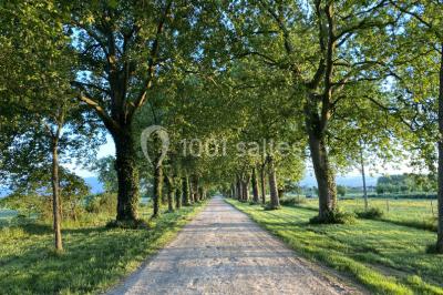 Location salle Frouzins (Haute-Garonne) - Orangerie des Demoiselles #16
