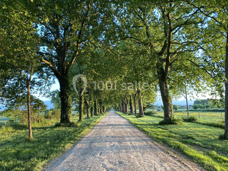 Allée principale