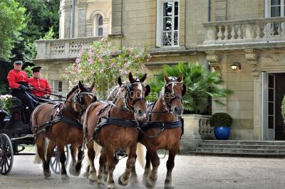 Miniature Location salle Uzès (Gard) - Château des Lumières #13 Location salle Uzès (Gard) - Château des Lumières #29