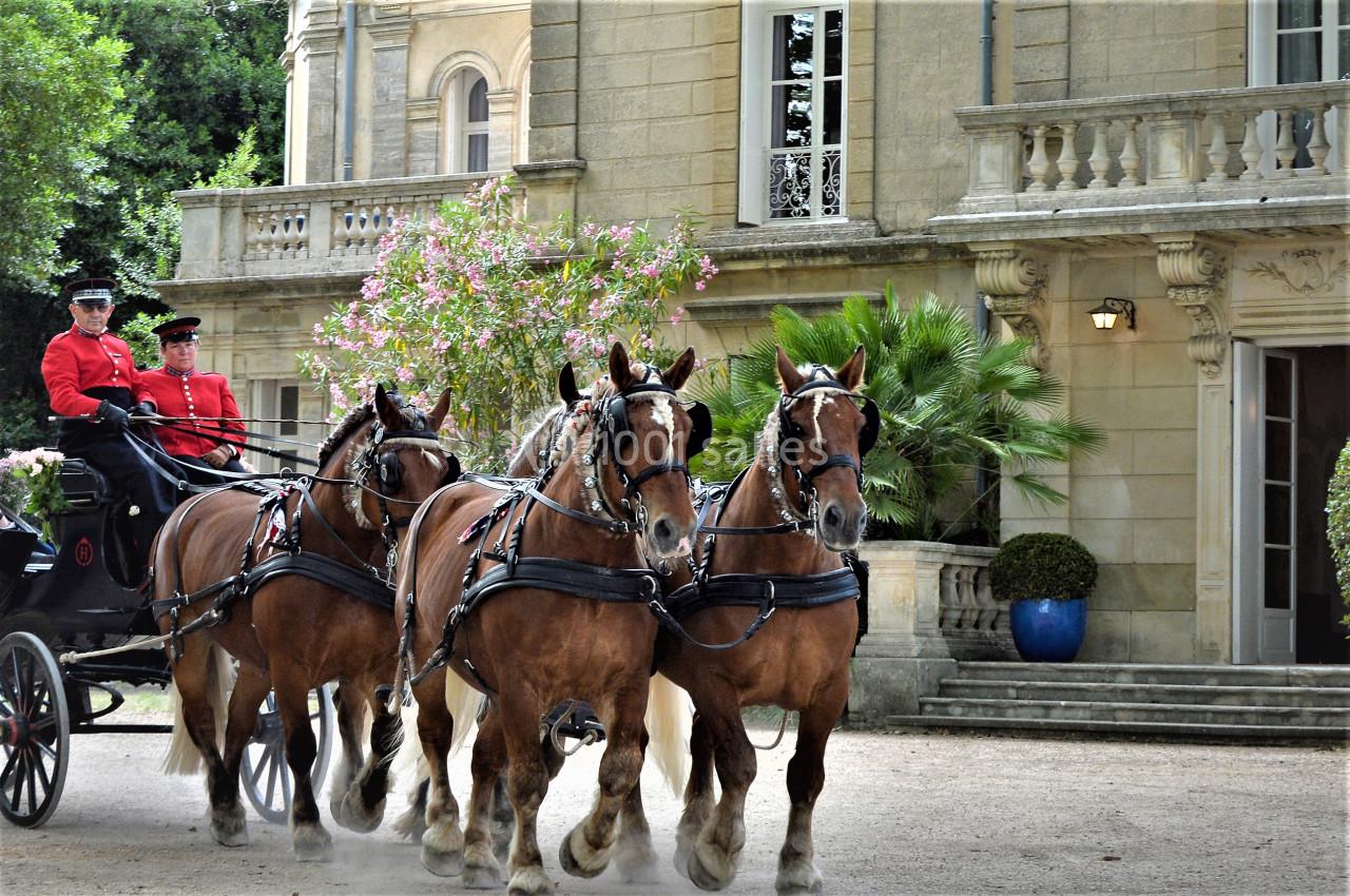 Location salle Uzès (Gard) - Château des Lumières #13