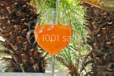 Location salle Uzès (Gard) - Château des Lumières #17