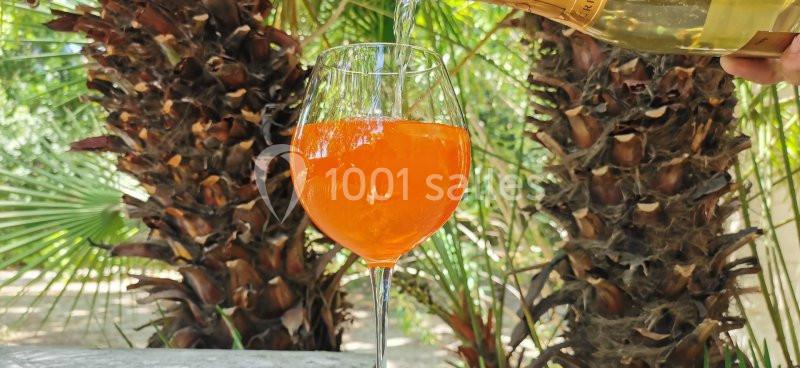 Location salle Uzès (Gard) - Château des Lumières #13