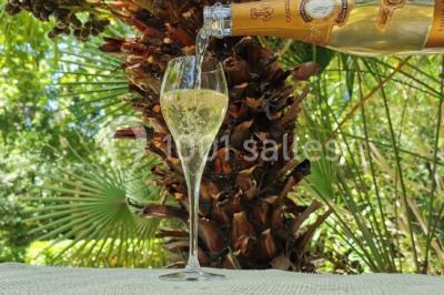 Location salle Uzès (Gard) - Château des Lumières #17