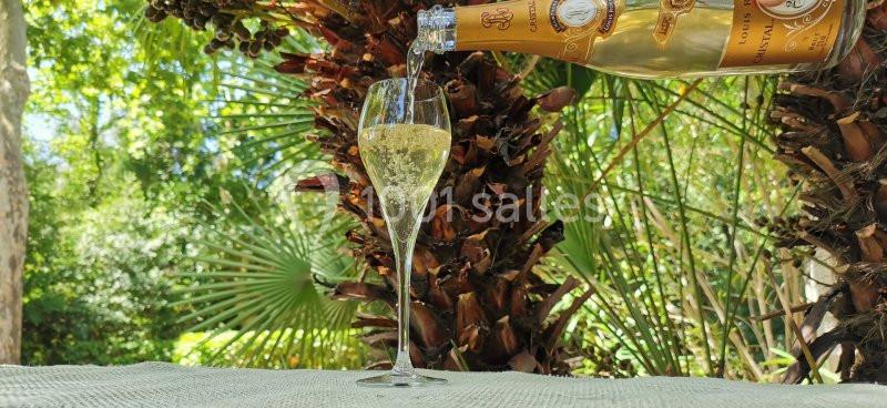 Location salle Uzès (Gard) - Château des Lumières #9