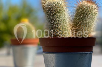 Location salle Fuveau (Bouches-du-Rhône) - Le Saint Charles #38