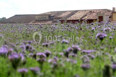 Vue d'un lac entouré d'arbres au lever du soleil, avec des reflets sur l'eau et une légère brume.