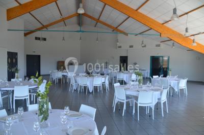Pelouse verdoyante avec un grand arbre, bâtiment moderne en arrière-plan et ciel dégagé.