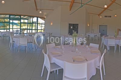 Pelouse verdoyante avec un grand arbre, bâtiment moderne en arrière-plan et ciel dégagé.