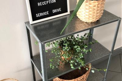 Pelouse verdoyante avec un grand arbre, bâtiment moderne en arrière-plan et ciel dégagé.