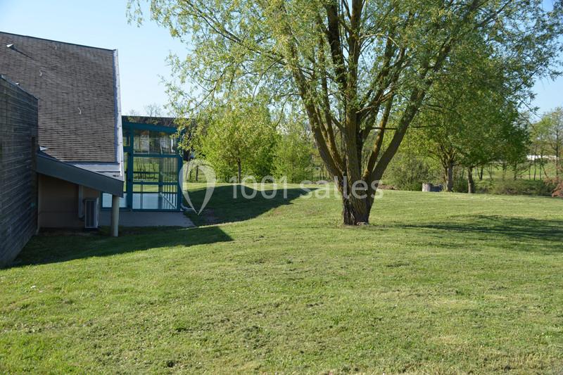 Pelouse verdoyante avec un grand arbre, bâtiment moderne en arrière-plan et ciel dégagé.