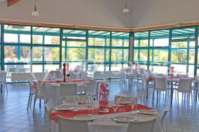 Pelouse verdoyante avec un grand arbre, bâtiment moderne en arrière-plan et ciel dégagé.