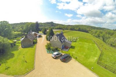Illustration d'un logo avec des branches de feuillage pastel entourant le texte ’Le Domaine des Cavaliers’.