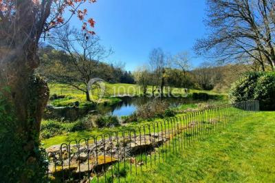 Illustration d'un logo avec des branches de feuillage pastel entourant le texte ’Le Domaine des Cavaliers’.