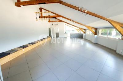 Illustration d'un logo avec des branches de feuillage pastel entourant le texte ’Le Domaine des Cavaliers’.