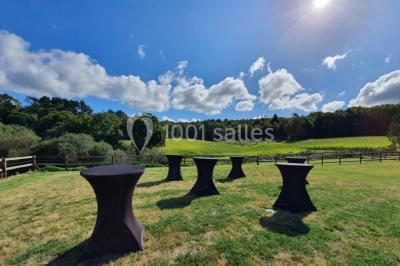 Illustration d'un logo avec des branches de feuillage pastel entourant le texte ’Le Domaine des Cavaliers’.