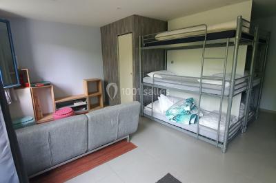 Illustration d'un logo avec des branches de feuillage pastel entourant le texte ’Le Domaine des Cavaliers’.