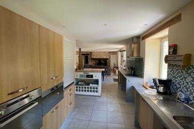 Illustration d'un logo avec des branches de feuillage pastel entourant le texte ’Le Domaine des Cavaliers’.