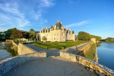 Location salle Chambellay (Maine-et-Loire) - Château du Bois Montbourcher #13