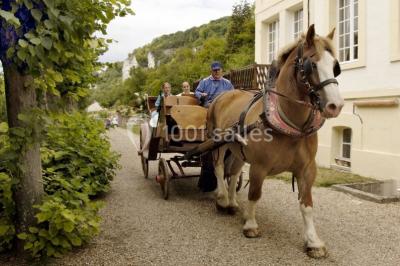 Location salle Andelys (Eure) - Les 3 Falaises #24