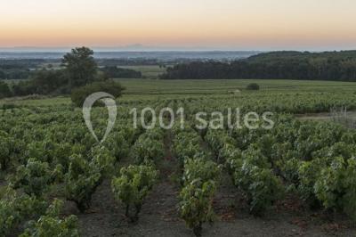 Location salle Villié-Morgon (Rhône) - Domaine Morgon La Javernière #23