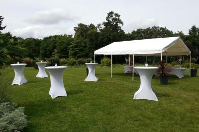 Sapin de Noël décoré de boules dorées et entouré de sacs cadeaux dans un magasin.