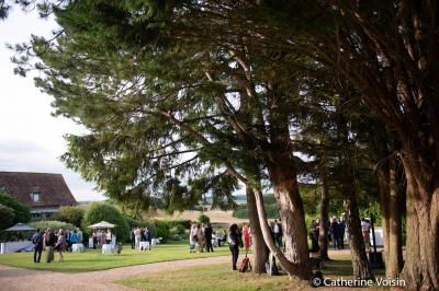 Platines vinyles et disques exposés sur une table en extérieur, avec un jardin verdoyant et un pigeonnier à colombages en…