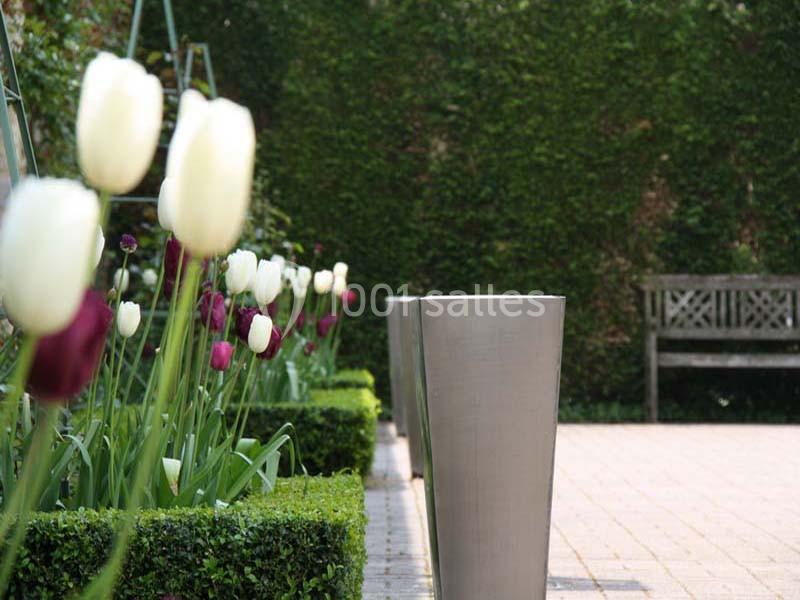 Tulipes blanches et pourpres bordant une allée pavée avec des haies taillées et un banc en bois en arrière-plan.