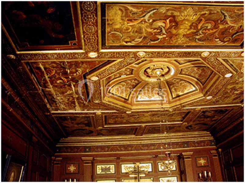 Plafond décoratif en bois sculpté et peint avec des motifs complexes et des détails dorés dans une pièce élégante.