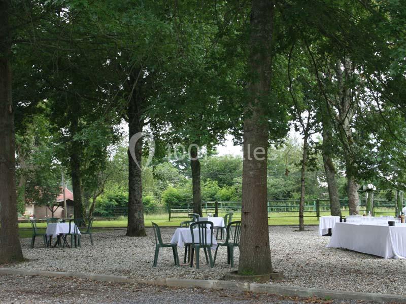Tables et chaises disposées en extérieur sous des arbres, sur un sol gravillonné, avec un paysage verdoyant en arrière-plan.