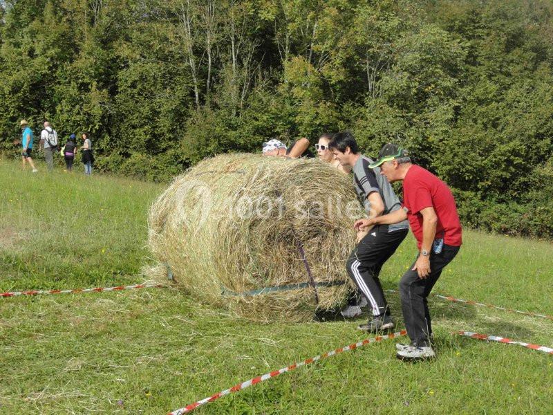 Location salle Aramits (Pyrénées-Atlantiques) - Domaine Escary #19