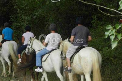 Location salle Aramits (Pyrénées-Atlantiques) - Domaine Escary #24