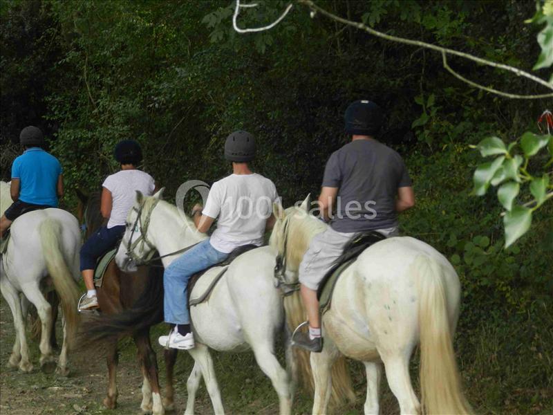 Location salle Aramits (Pyrénées-Atlantiques) - Domaine Escary #17