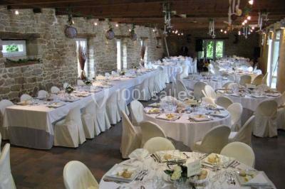 Allée ombragée avec banc en bois, hortensias en fleurs et panneaux directionnels près d'un arbre.