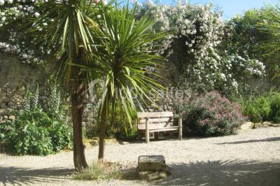 Allée ombragée avec banc en bois, hortensias en fleurs et panneaux directionnels près d'un arbre.