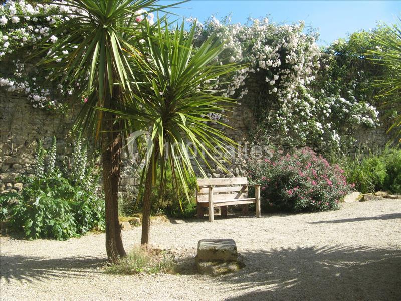 Un jardin avec des palmiers, un banc en bois, un mur de pierre couvert de fleurs et un sol en gravier.