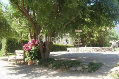 Allée ombragée avec banc en bois, hortensias en fleurs et panneaux directionnels près d'un arbre.