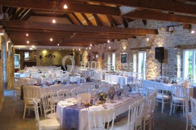 Allée ombragée avec banc en bois, hortensias en fleurs et panneaux directionnels près d'un arbre.