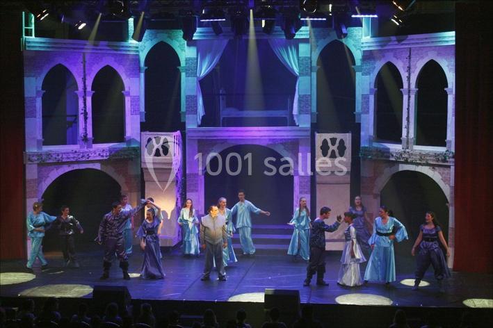 Location salle Savigny-le-Temple (Seine-et-Marne) - Le Millénaire #11