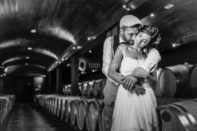 Photo Patrick Chatelain Photo & Vidéo #14