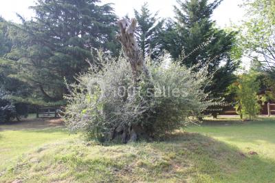 Location salle Breux-Jouy (Essonne) - Domaine De La Patulière - Espace La Patulière #24
