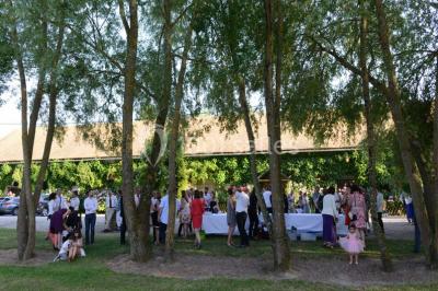 Feu d'artifice illuminant le ciel nocturne au-dessus d'arbres sombres dans un parc.