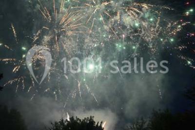 Feu d'artifice illuminant le ciel nocturne au-dessus d'arbres sombres dans un parc.