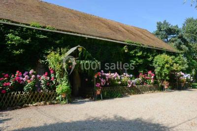 Feu d'artifice illuminant le ciel nocturne au-dessus d'arbres sombres dans un parc.