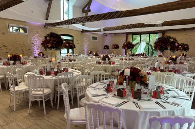 Feu d'artifice illuminant le ciel nocturne au-dessus d'arbres sombres dans un parc.