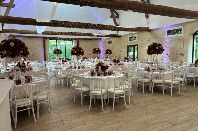 Feu d'artifice illuminant le ciel nocturne au-dessus d'arbres sombres dans un parc.