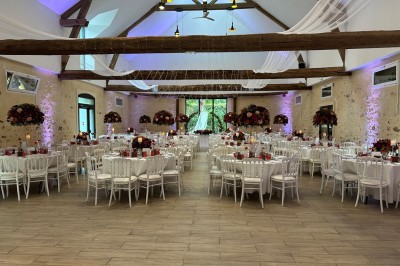 Feu d'artifice illuminant le ciel nocturne au-dessus d'arbres sombres dans un parc.